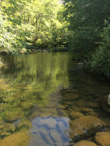 North Yuba River, California