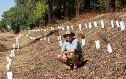 field study on hillside