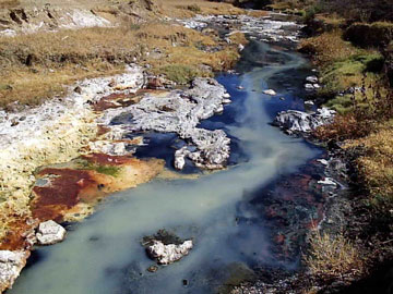 spring water on soil